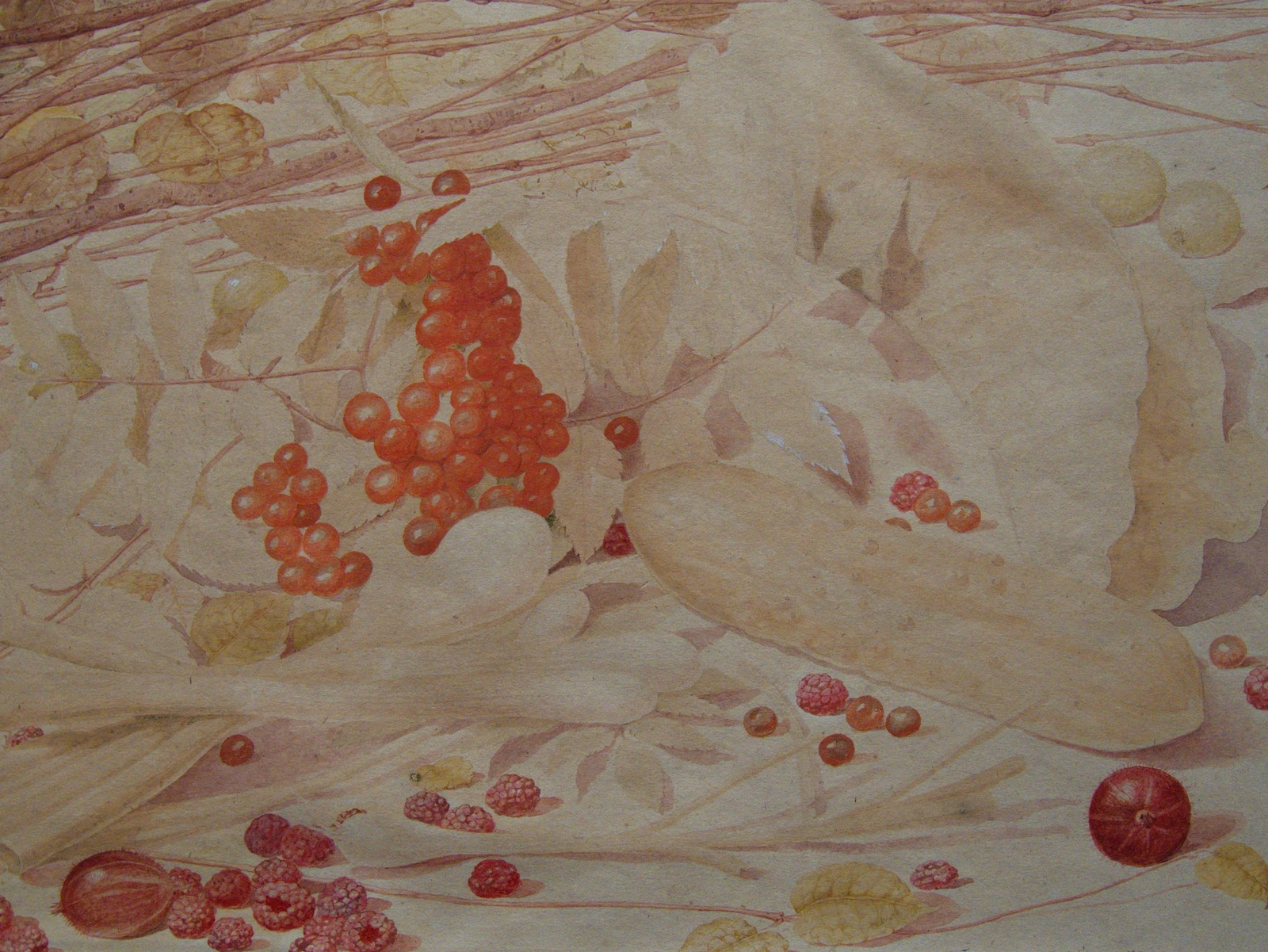 Gooseberries, raspberries, red currants, spring onions, a gherkin and foliage in a still life by Richard Dadd