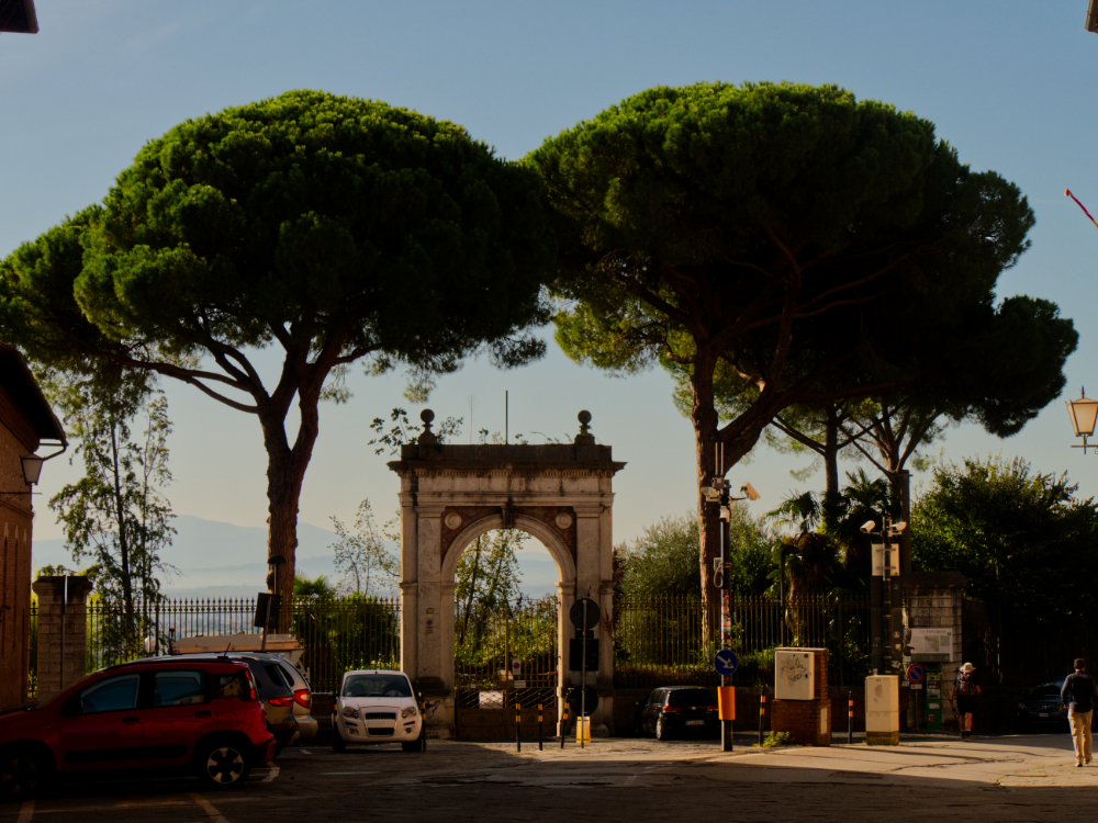Day 7 - What have the Medici ever done for us?